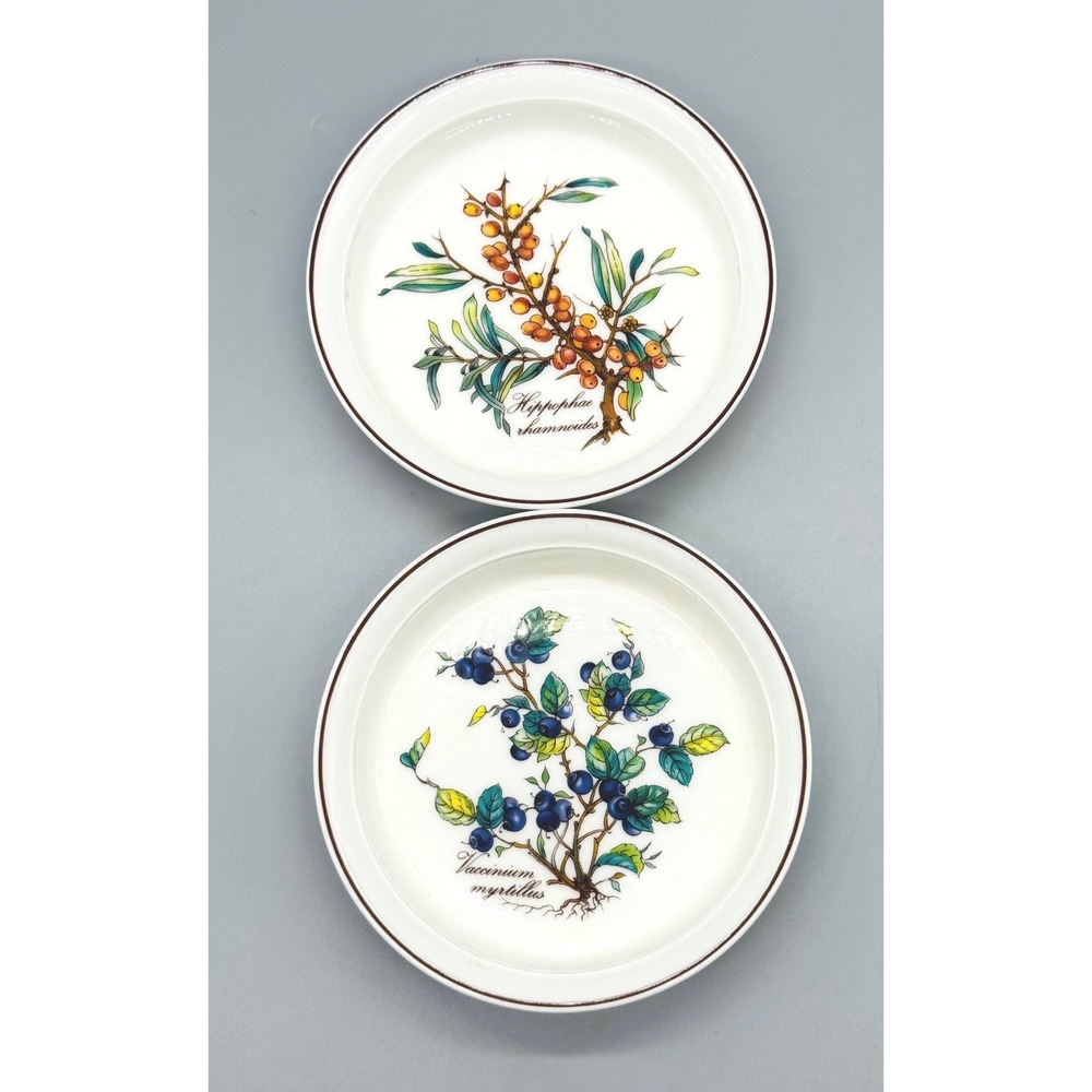 Villeroy Boch Botanica Tart Dish Vaccinium Myrtillus Hippophae Rhamnoides Lot 2